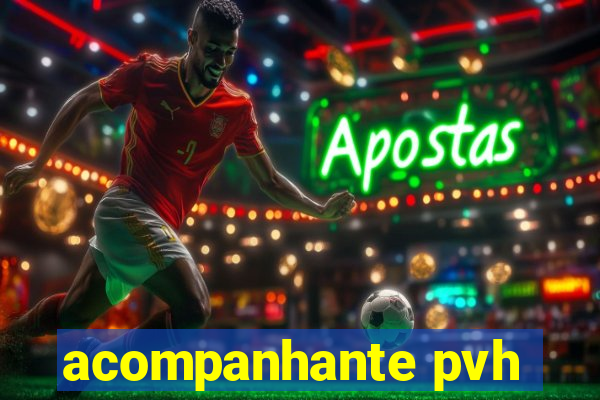 acompanhante pvh